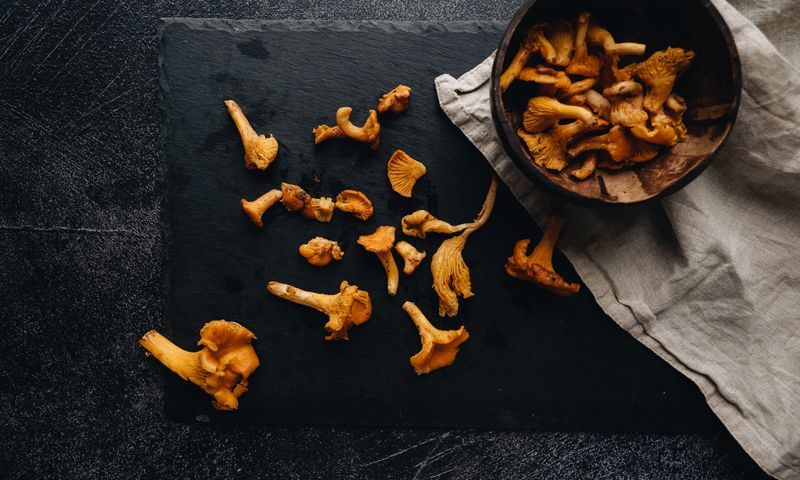 Freshly foraged golden chanterelle mushrooms laid out on a slate board